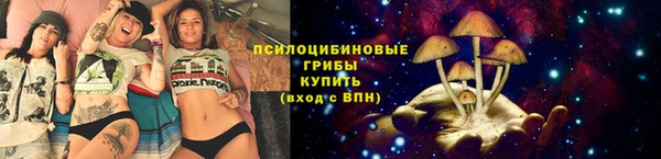 амф Рославль