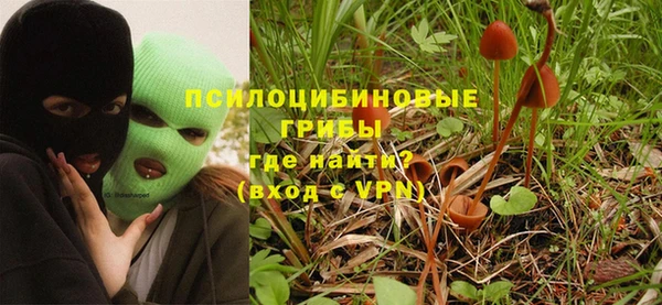 амф Рославль