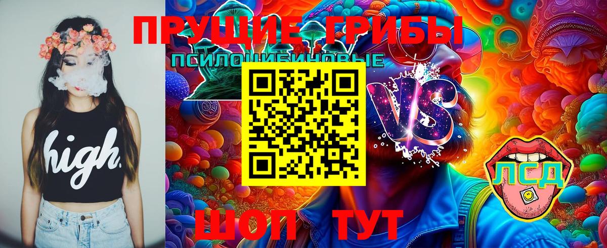 Галлюциногенные грибы GOLDEN TEACHER Слободской