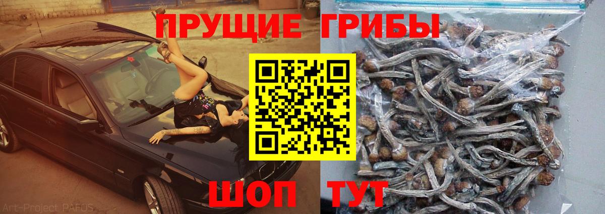 купить наркотик  Псилоцибиновые грибы Magic Shrooms  Вход с VPN  Слободской 